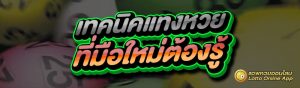 เทคนิคแทงหวย